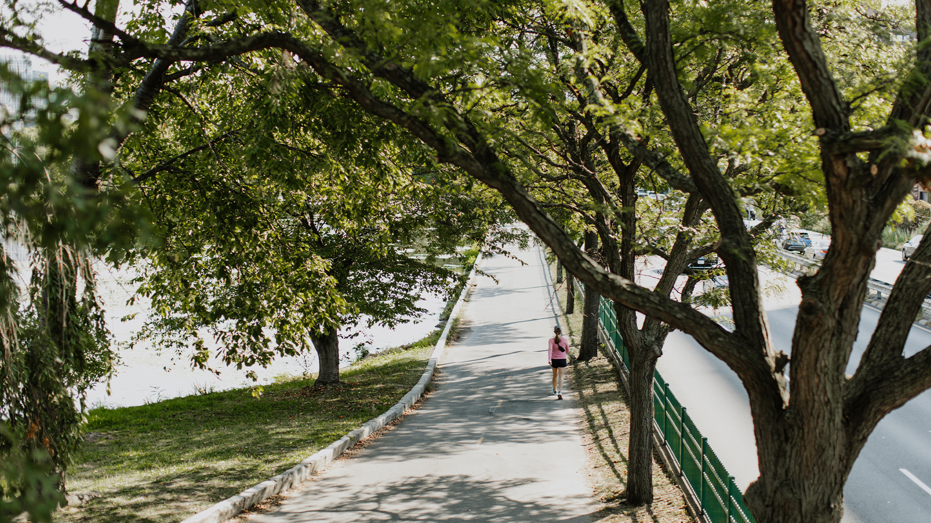 Charles River Bike Path