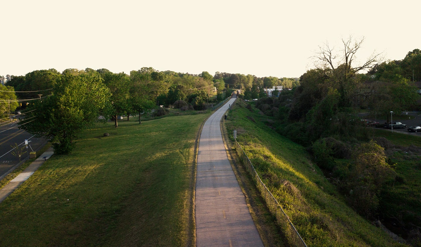 Trail going through a green forest.