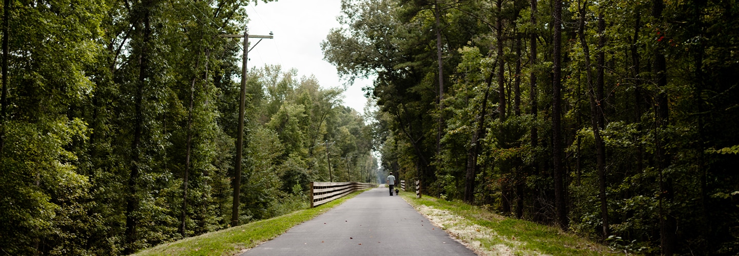 Person walking their dog in the distance on the Fall Line Trail in Ashand