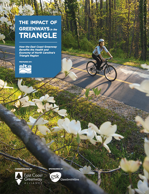 Triangle Study Cover