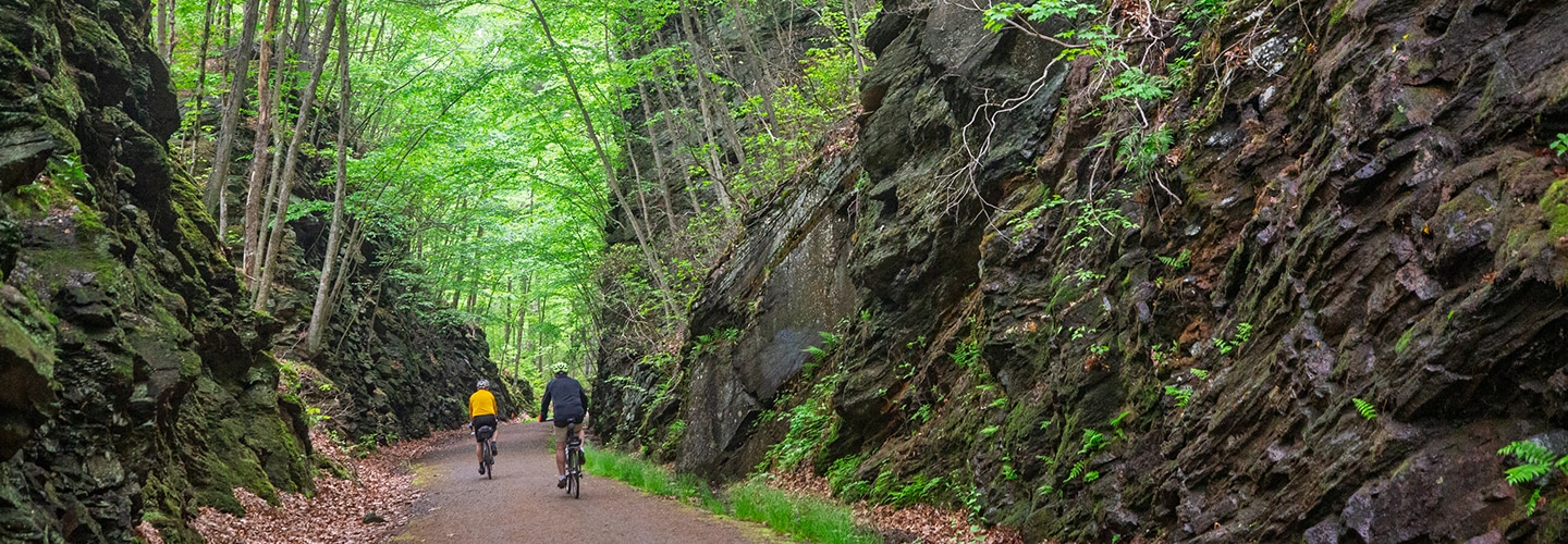 Cyclists in Ride the East